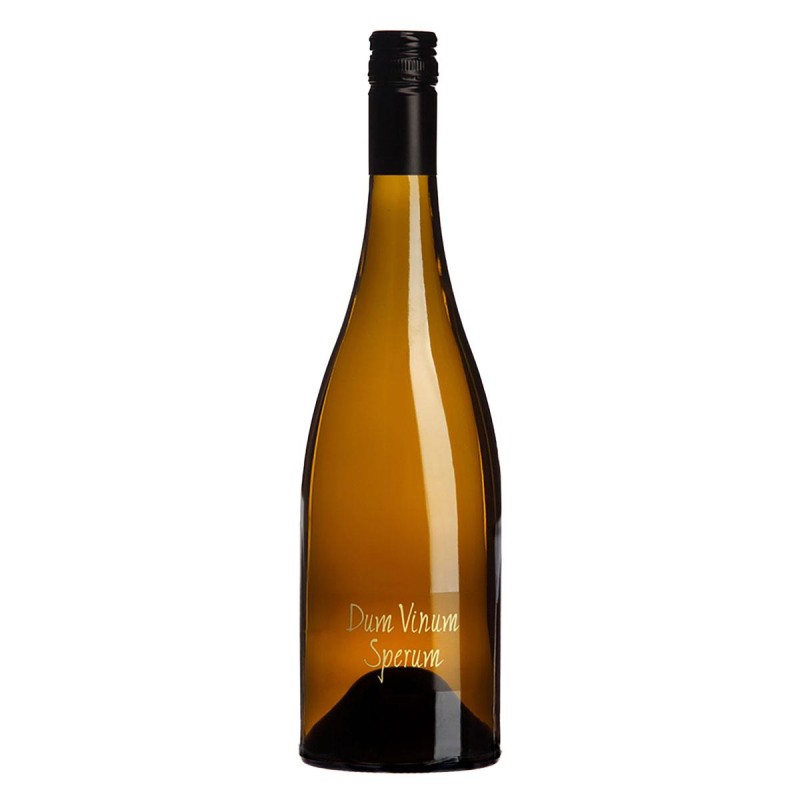 Σκούρας Dum Vinum Sperum 750ml Λευκό