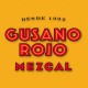 Gusano Rojo