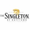 The Singleton