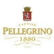 Pellegrino