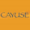 Cayuse