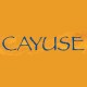 Cayuse