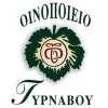 Α / Σ Τυρνάβου