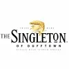 The Singleton