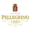 Pellegrino