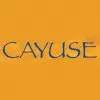 Cayuse